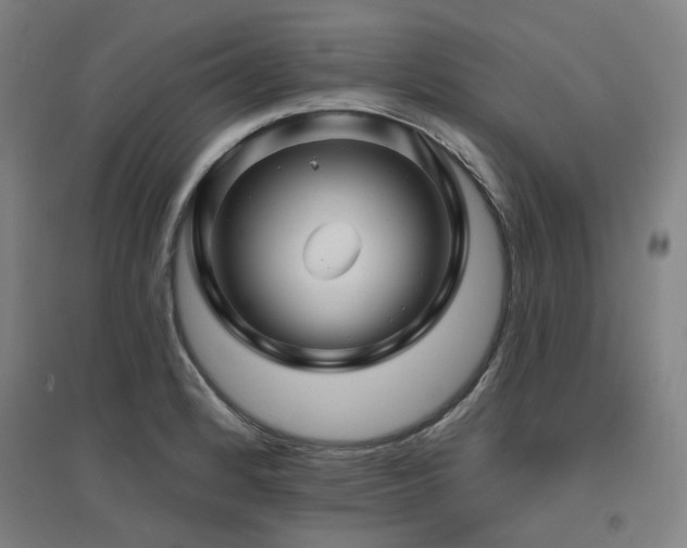 X0000095901184200801111202