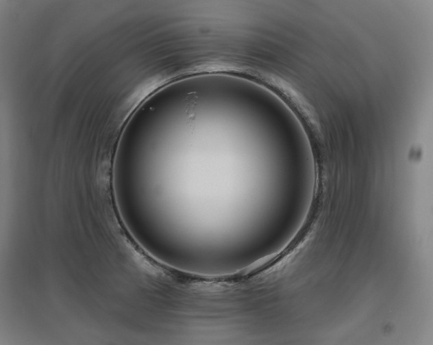 X0000095901185200801111202