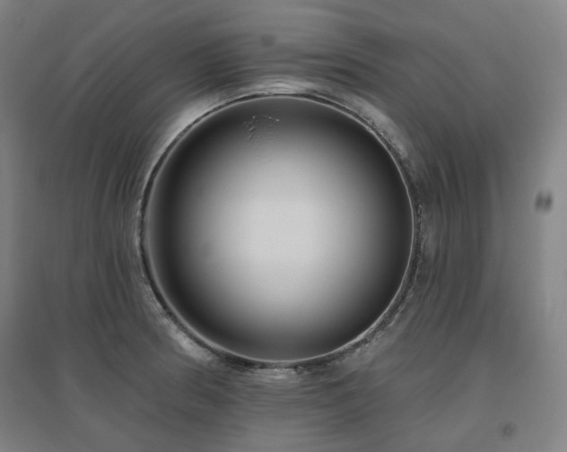 X0000095901186200801111202