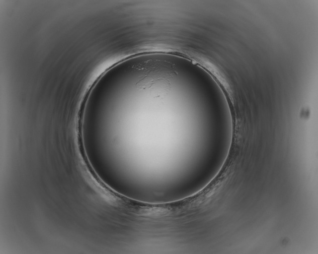 X0000095901187200801111202