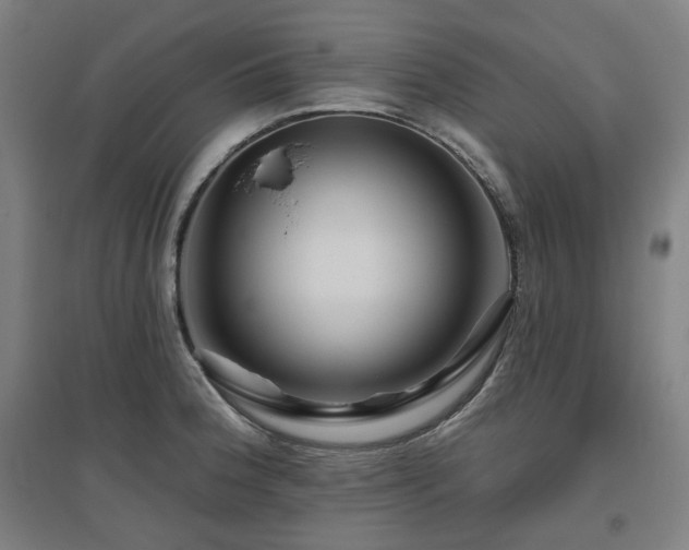 X0000095901188200801111202