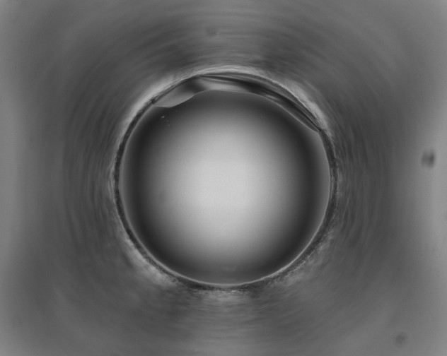 X0000095901189200801111202