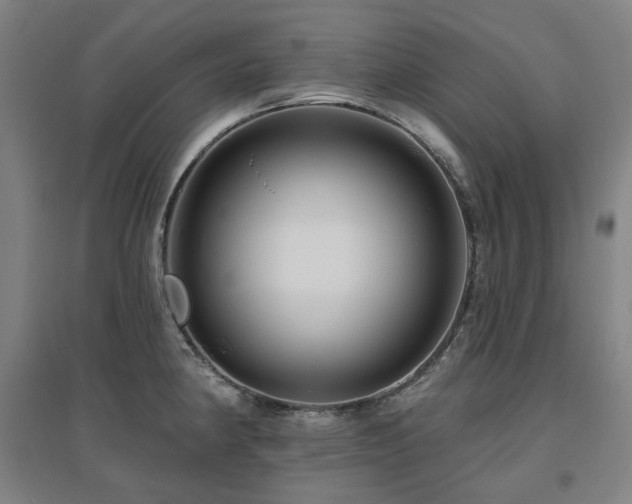 X0000095901190200801111202