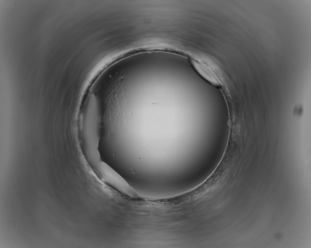 X0000095901191200801111202