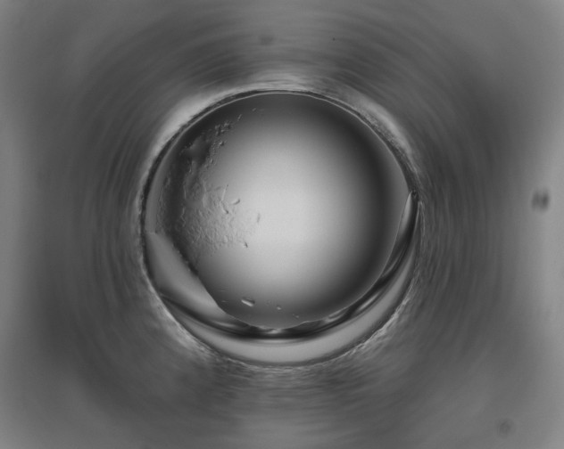 X0000095901192200801111202