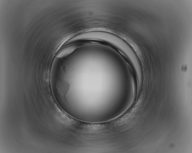 X0000095901193200801111202