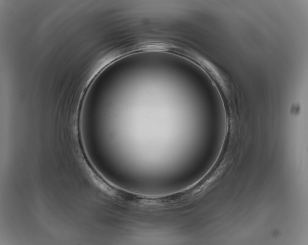 X0000095901194200801111202