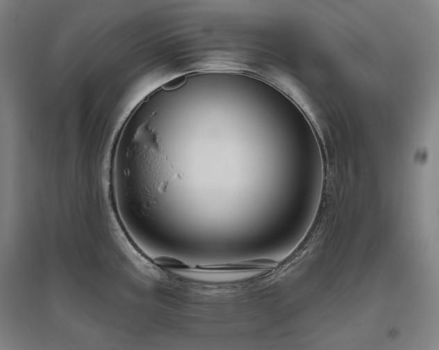 X0000095901195200801111202