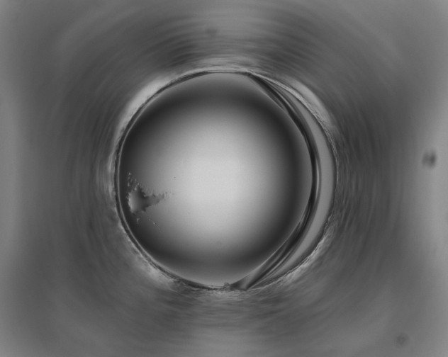 X0000095901196200801111202