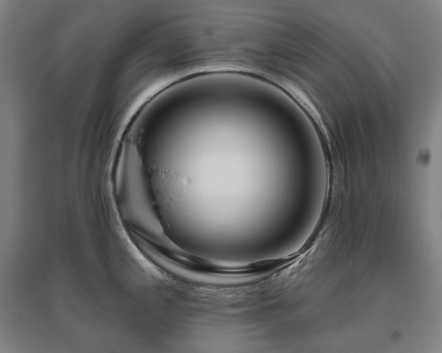 X0000095901197200801111202