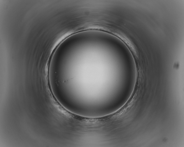 X0000095901198200801111202
