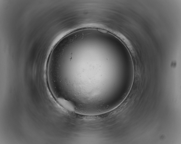 X0000095901199200801111202