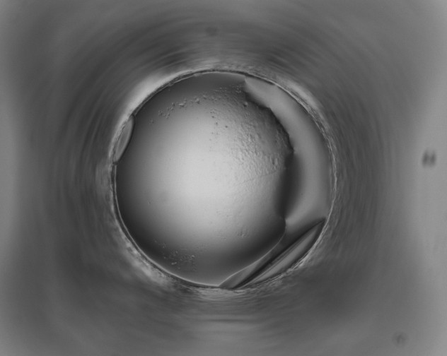 X0000095901200200801111202