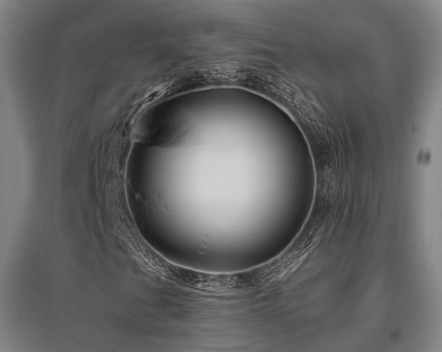 X0000095901201200801111201
