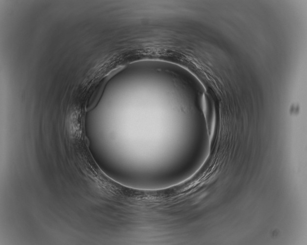 X0000095901202200801111201