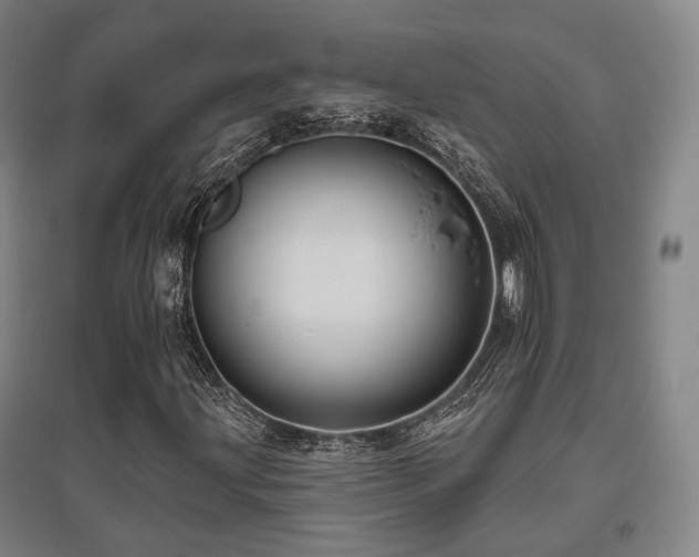 X0000095901203200801111201