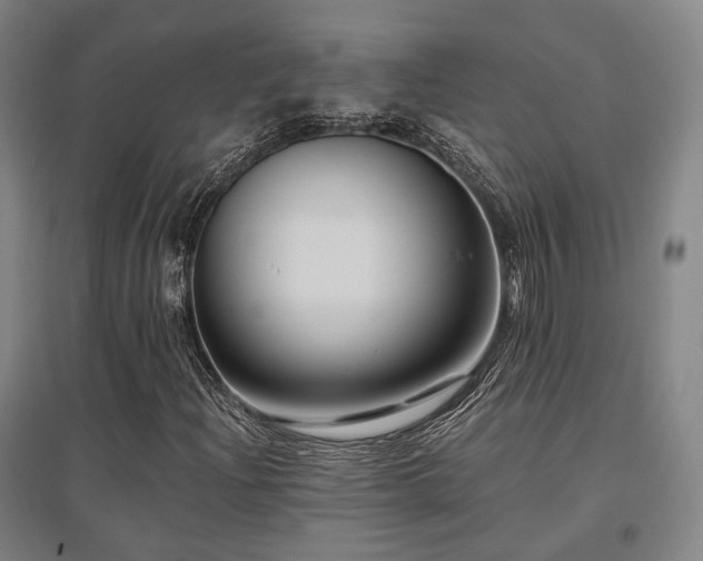 X0000095901204200801111201