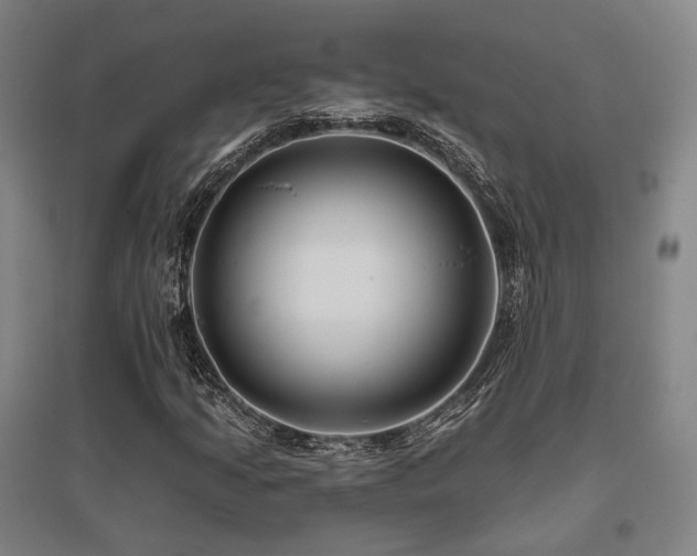 X0000095901205200801111201