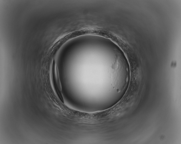 X0000095901206200801111201