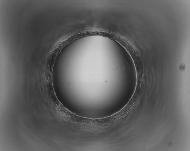 X0000095901207200801111201