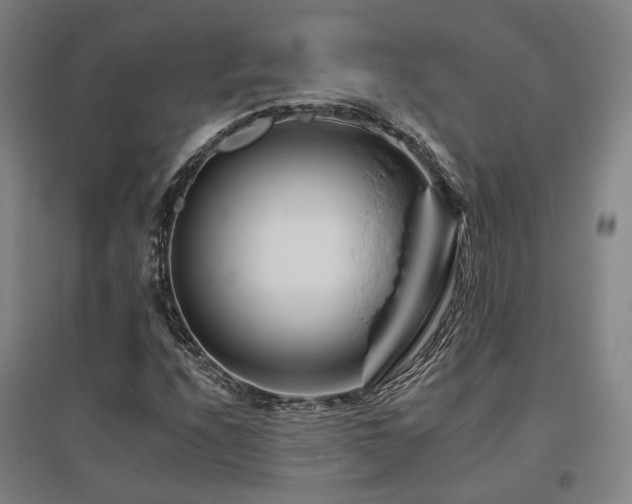 X0000095901208200801111201