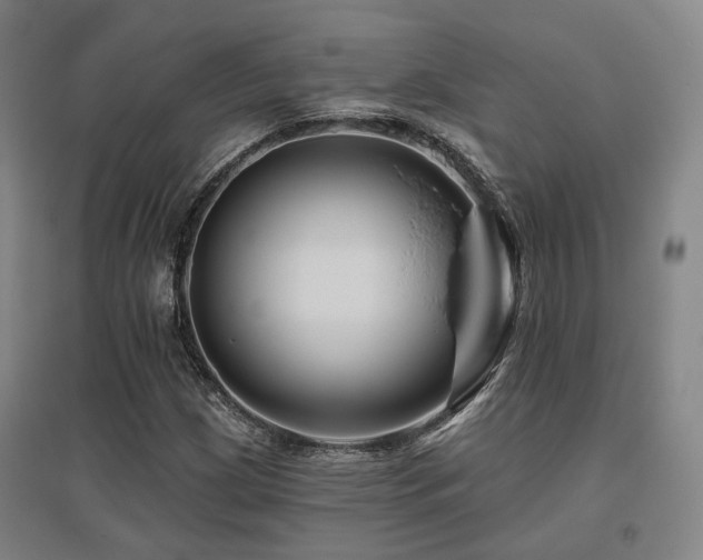 X0000095901209200801111201