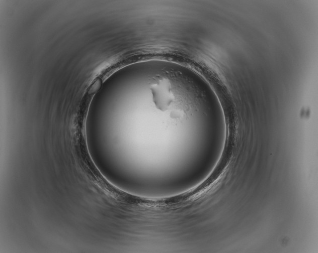 X0000095901210200801111201