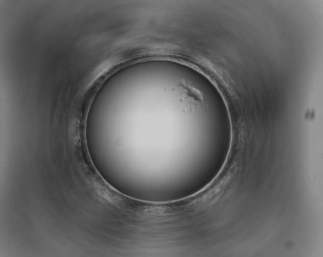 X0000095901211200801111201