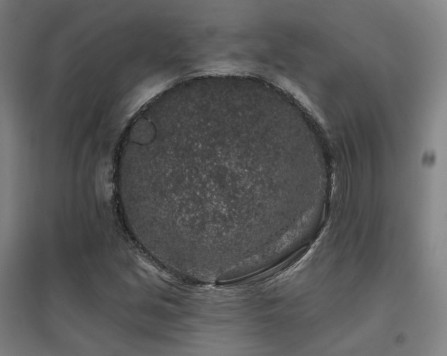 X0000095901213200801111201