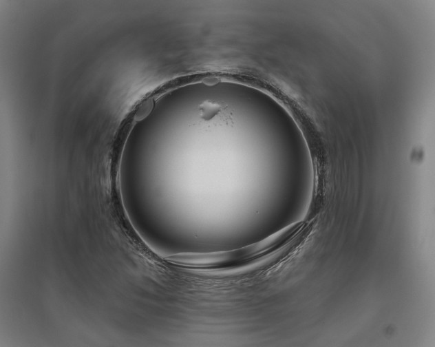 X0000095901214200801111201