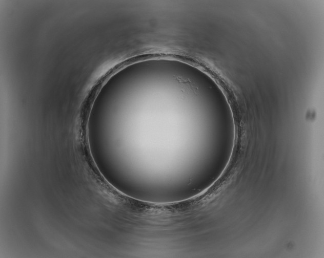 X0000095901215200801111201