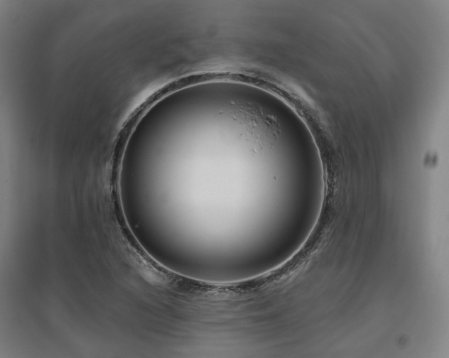 X0000095901216200801111201