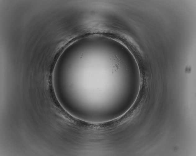 X0000095901217200801111201