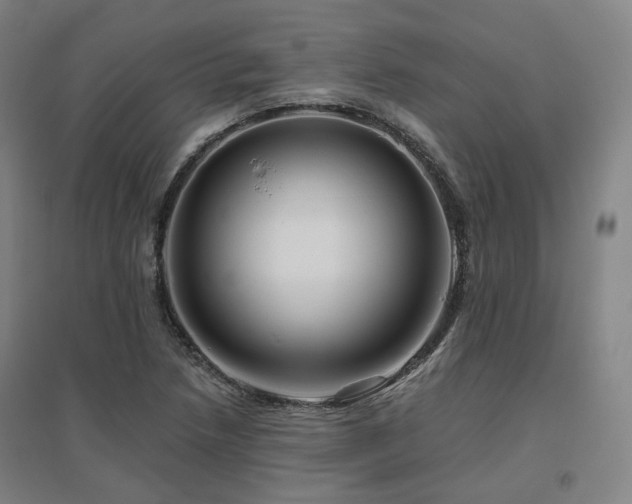 X0000095901218200801111201