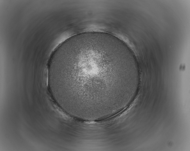 X0000095901219200801111201