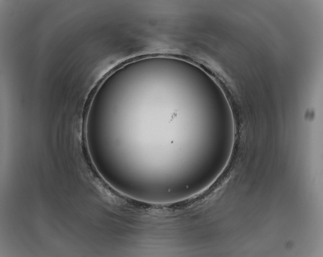 X0000095901220200801111201