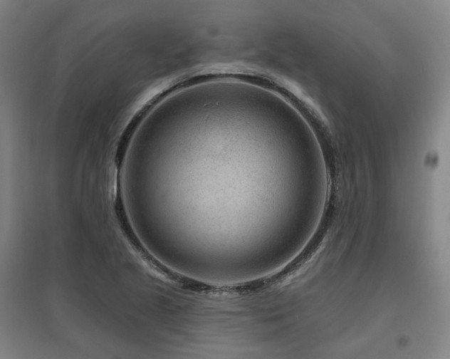 X0000095901221200801111201