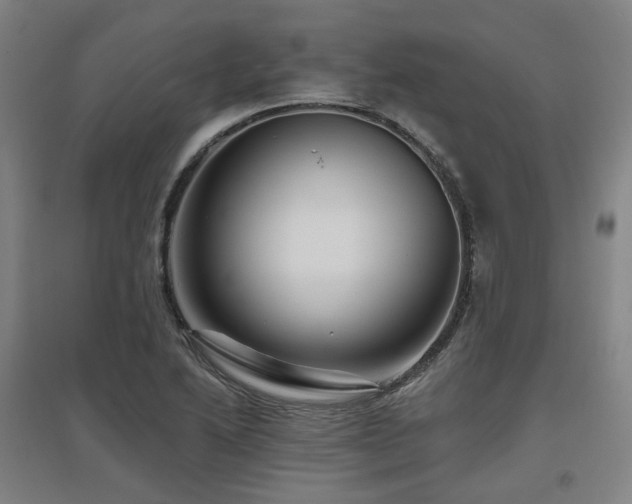 X0000095901222200801111201
