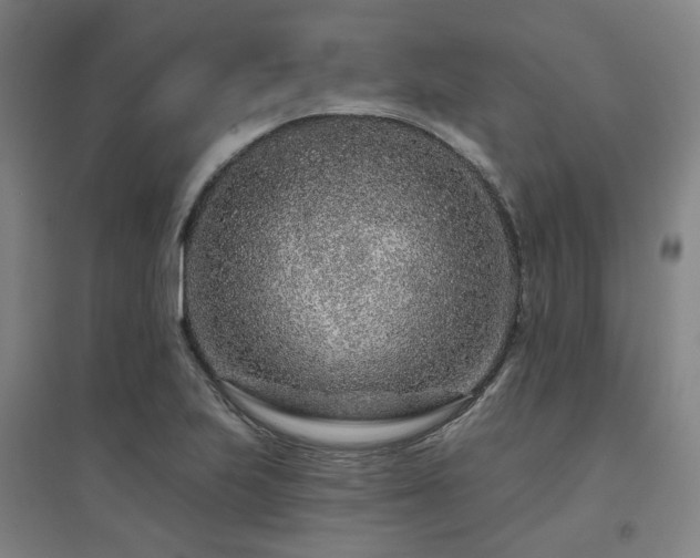 X0000095901223200801111201