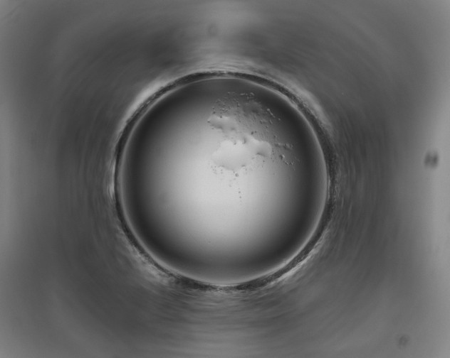 X0000095901224200801111201