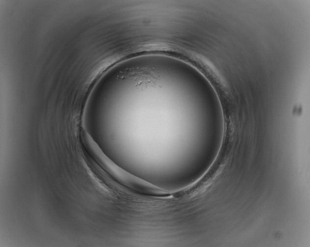 X0000095901225200801111201