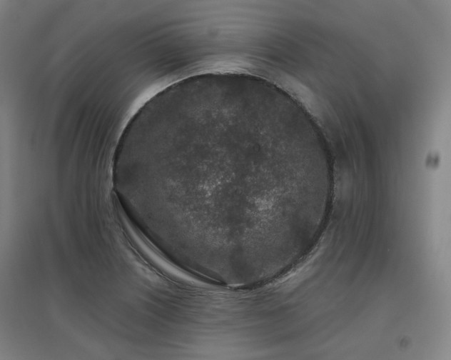 X0000095901226200801111201