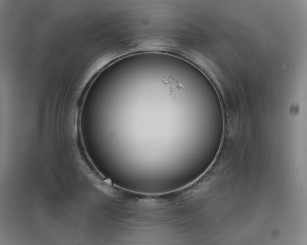 X0000095901227200801111201