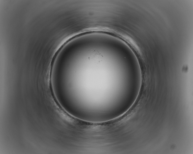 X0000095901228200801111201