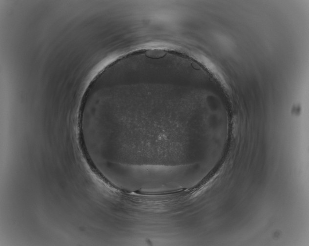 X0000095901229200801111201