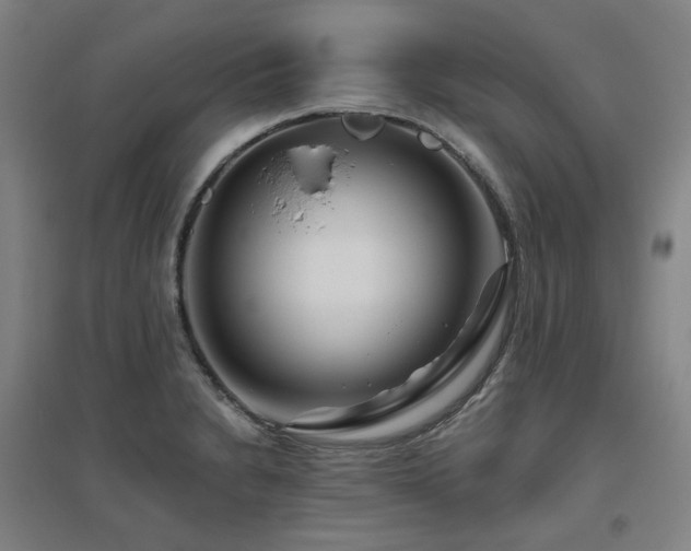 X0000095901230200801111201