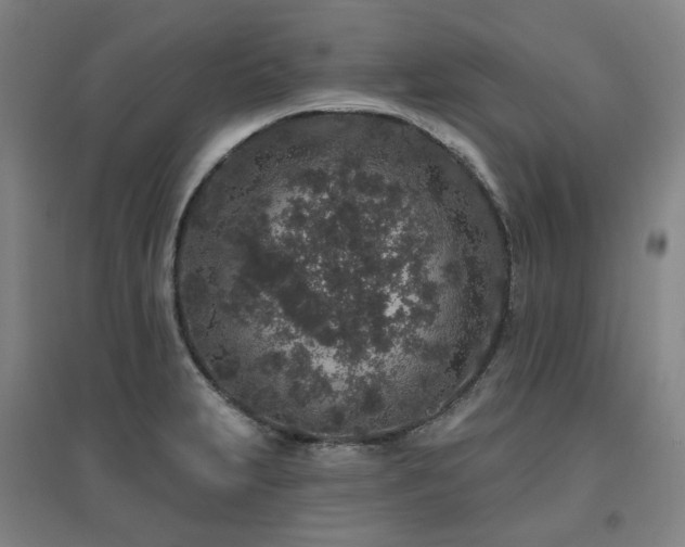 X0000095901231200801111202