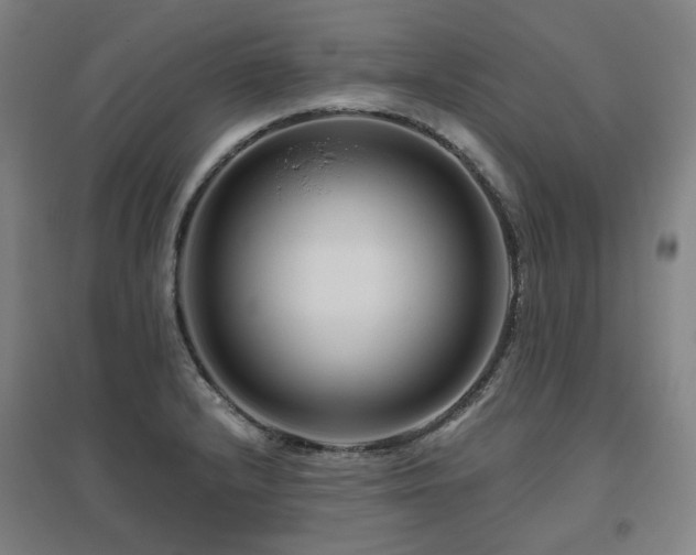 X0000095901232200801111202