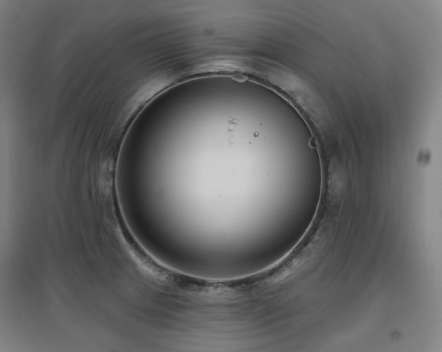 X0000095901233200801111202