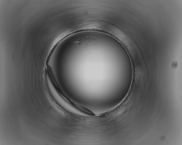 X0000095901234200801111202